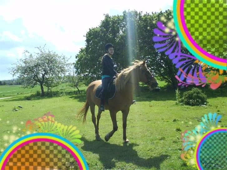 Anden særlig race DJ - SOLGT - | Da jeg prøvede ham.. billede 10