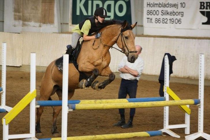 Anden særlig race Bratz <3 - Springundervisning hos Preben ;D
Billede: Mia billede 4