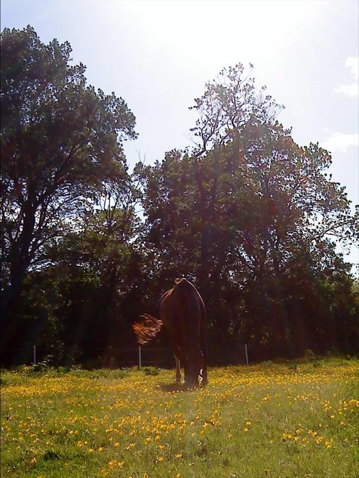 Oldenborg Winnie - :) billede 2