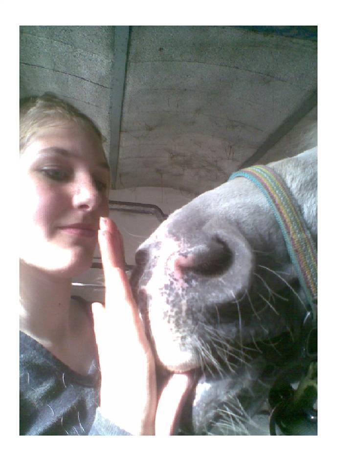 Connemara  Lorenzo(Rideskolehest) - Ej Lolo du Elsker bare at slikke på hænder og det Elsker jeg dig for <3  billede 5