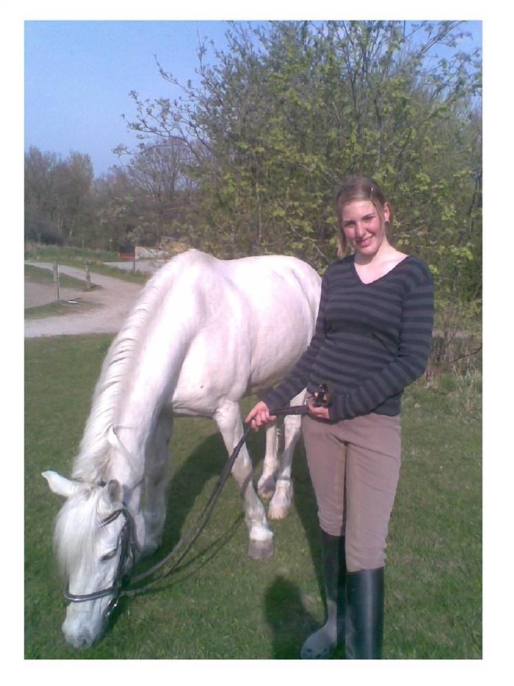 Connemara  Lorenzo(Rideskolehest) - Jeg Elsker den måde du Elsker mad på<3 billede 8