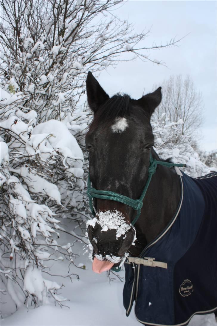 Traver Tokama - Fordi prins er fjollet og lækker <3 billede 16