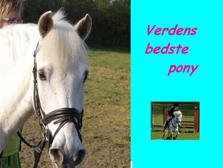 Anden særlig race Speedy Gonzales SOLGT! - min søde skathh billede 9