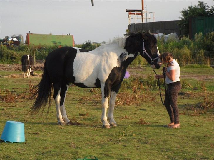 Anden særlig race Snoopy - Solgt&Savnet! <3 - 7) Snoopy og Karina, de er så søde.. billede 7