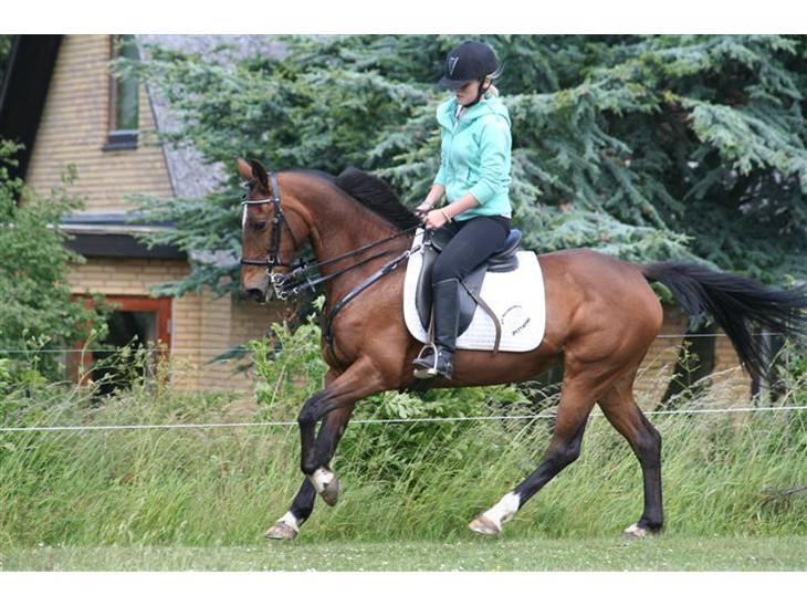 {{currentPhoto.altText}} billede {{currentPhoto.number}}