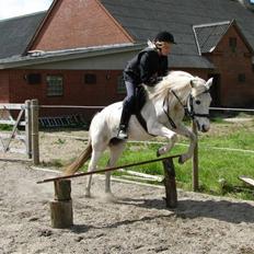 Anden særlig race Snehvide.