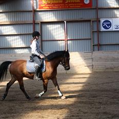 Anden særlig race Mr. Matrix