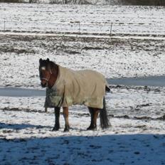 Anden særlig race Mr. Matrix