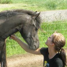 Anden særlig race Diva