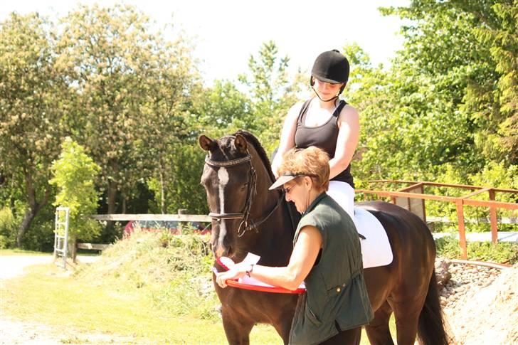 Anden særlig race Lucky Boy - Mig og Lucky for os lige en første plads..:) pinsestævne i maj 09.. Foto af: Marlene Ø billede 19