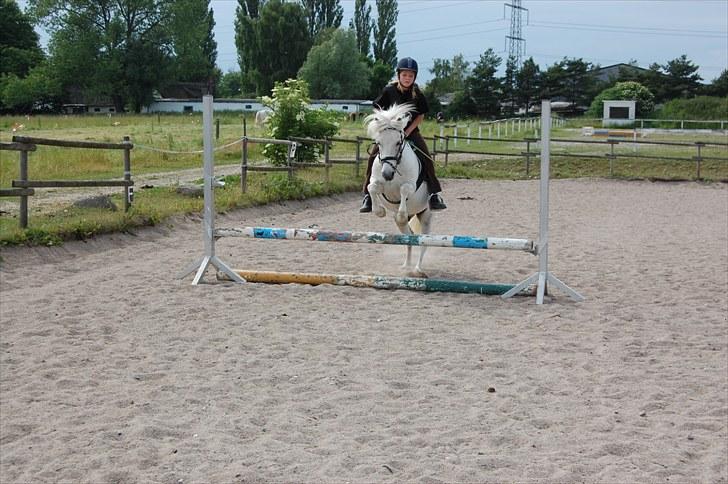 Anden særlig race Hermann:* - Så blev det til en lille lodret <3 Han hjælper mig med at komme over <3 billede 3