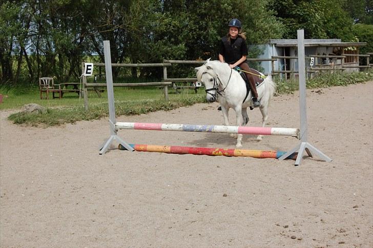 Anden særlig race Hermann:* - Ja han skal lige se grundigt på springet først <3 billede 4