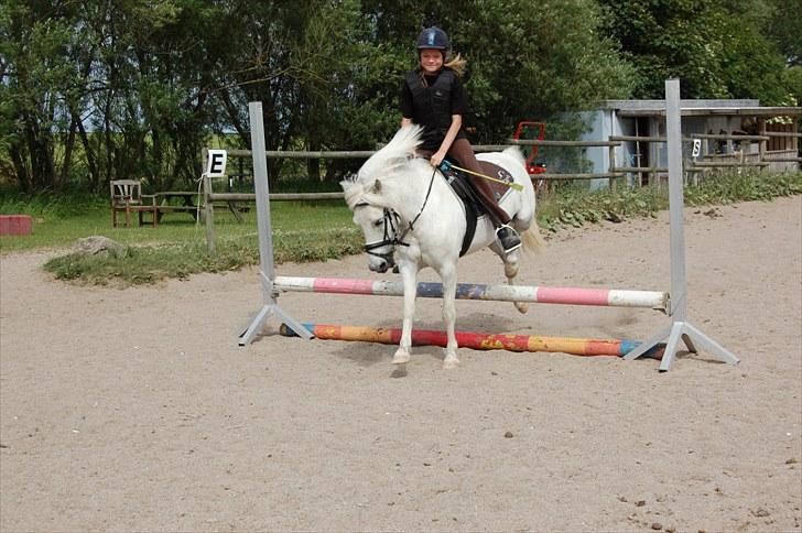 Anden særlig race Hermann:* - Min Hermann! <3    Et smil på læben og det er der nogle andre der har nu - I miss you boy!!:´(  billede 5