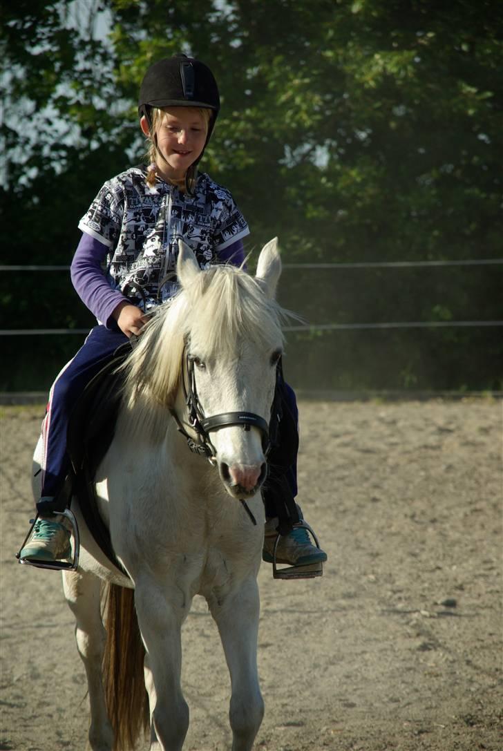 Anden særlig race Snehvide. - 09. billede 6