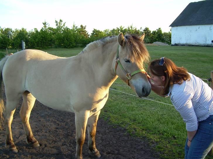 Anden særlig race Ida.  - Elsker min hest <3  billede 12