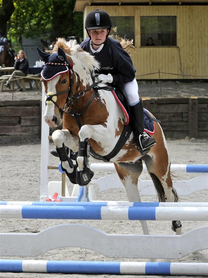 Anden særlig race Pinocchio *SOLGT /':* billede 16