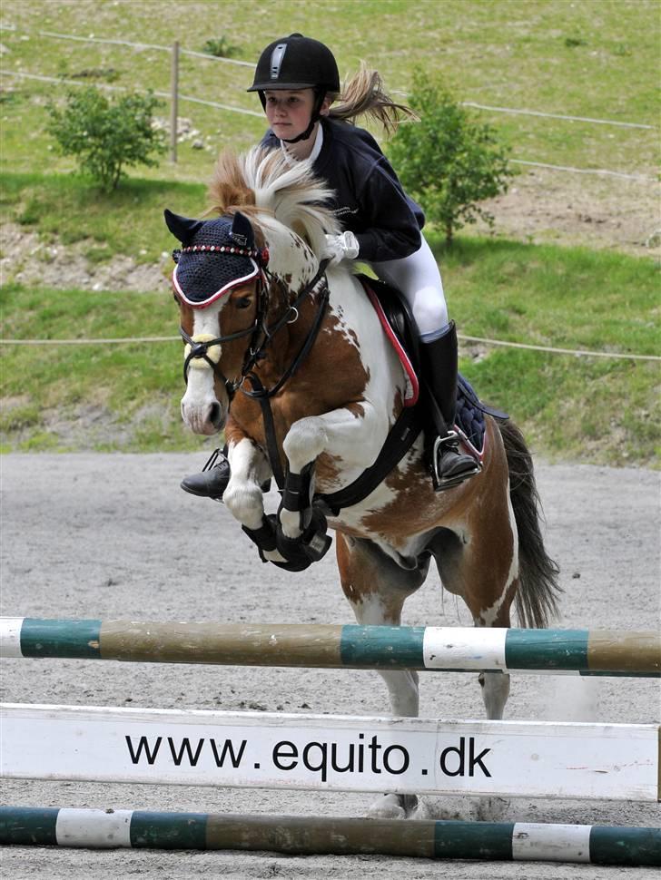 Anden særlig race Pinocchio *SOLGT /':* billede 19