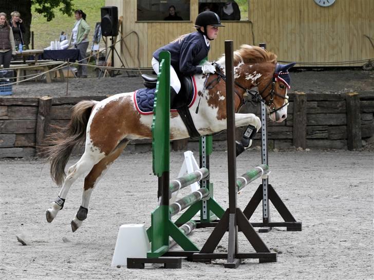 Anden særlig race Pinocchio *SOLGT /':* billede 20