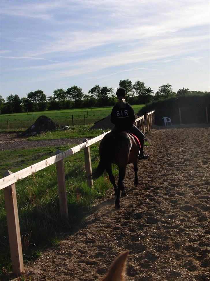 Anden særlig race Balarina Part *SOLGT* - 18# Fordi du er noget af det bedste der er sket for mig!! <33 JEGELSKERDIG !! Foto; Josephine <3 billede 18