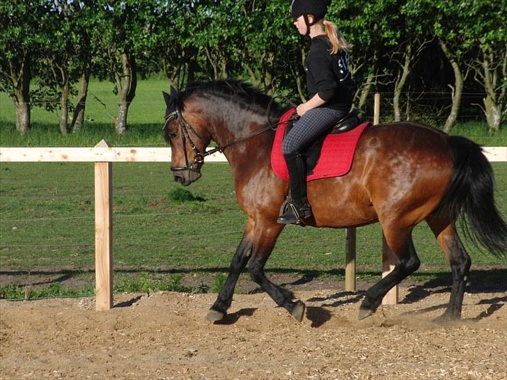 Anden særlig race Balarina Part *SOLGT* - 19# Fordi vi bare kan alt sammen <3 og vi gør det med "måde" :* Foto; Josephine ;) billede 19