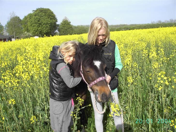 Anden særlig race | My La Belle - Solgt :(  billede 9