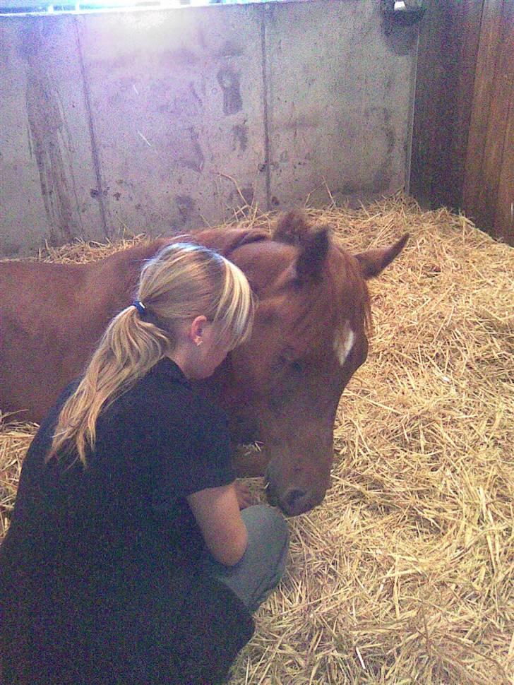 Arabisk fuldblod (OX) GHAZAL AL BAHIR. VINDENS SANG - Ghazal og jeg hygger. <3 d. 30/05-09... dagen før hans fødselsdag.. :o) billede 10