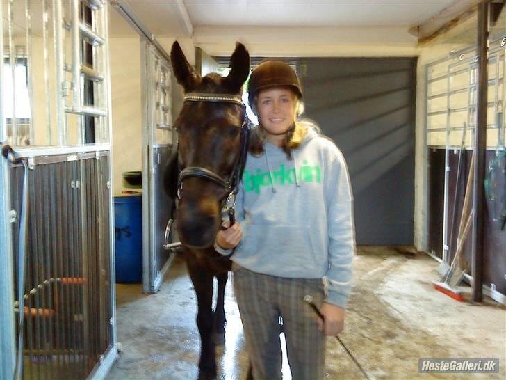 Anden særlig race Prins<3 R.I.P<3 billede 3