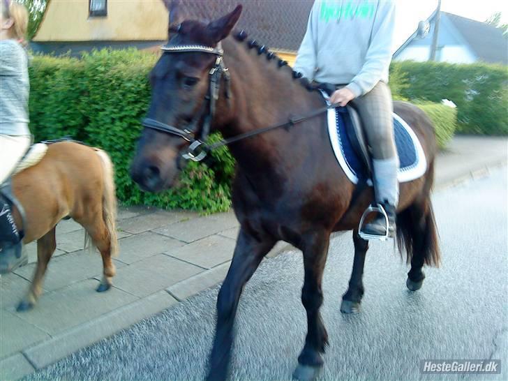 Anden særlig race Prins<3 R.I.P<3 billede 4