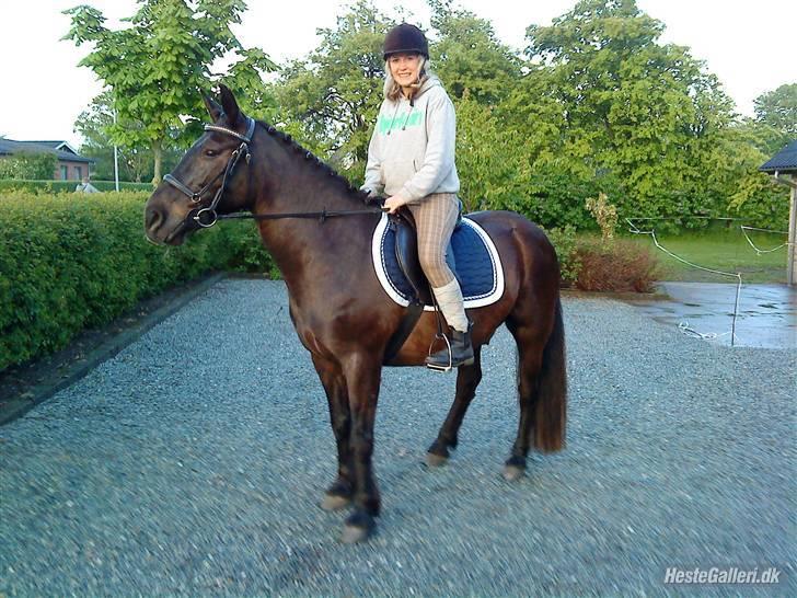 Anden særlig race Prins<3 R.I.P<3 billede 5