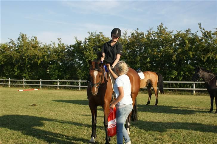 Anden særlig race Jamaica *solgt* - Præmieoverrækkelse ringridning 2009 (: billede 13