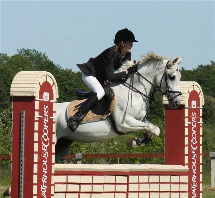 DSP STAR {b-pony} - I MA tror jeg (: billede 19