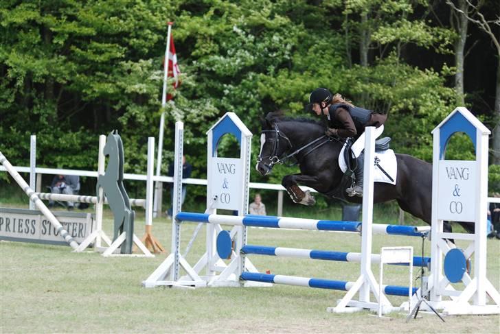 Anden særlig race |fenja| - {17} morsø 09 LB -Sara K og Fenja. billede 16