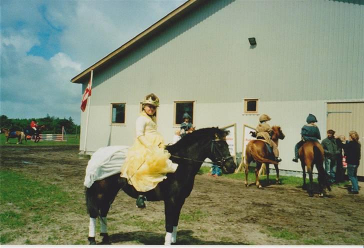 Anden særlig race Tamara - Min soulmate ;* - 15: Til invielse af ridehallen, hvor jeg rider min lille prinsesse billede 14