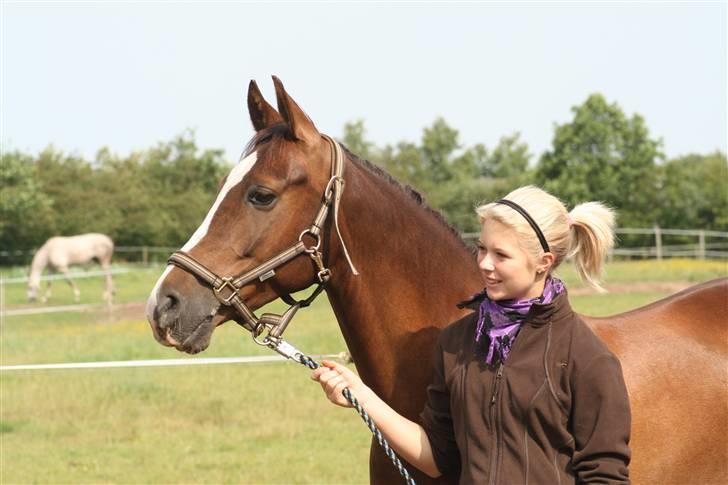 DSP Fandango  SOLGT - min smukke dreng  billede 7