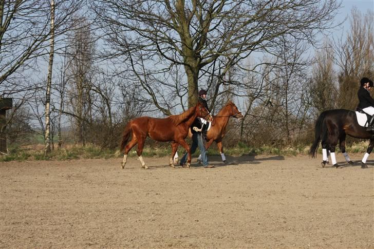Frederiksborg magic star - Til Tines bryllup, jeg nikker lige far en skalle.. gider ikke gå så pænt.. billede 9