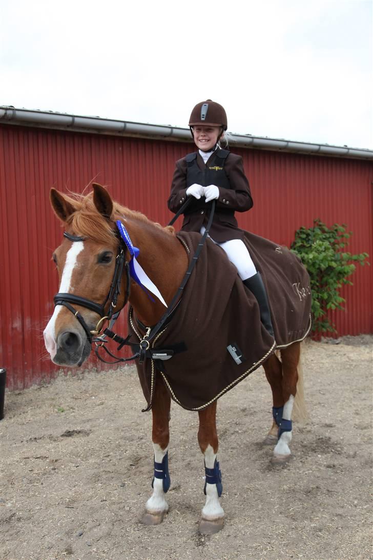 New Forest Kami - Kami og jeg med vors roset billede 2