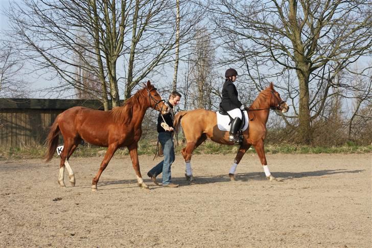 Frederiksborg magic star - Med de store ude og lege til Tines bryllup billede 10