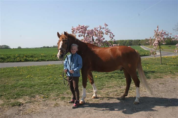 New Forest Kami - Fra fotodag billede 5