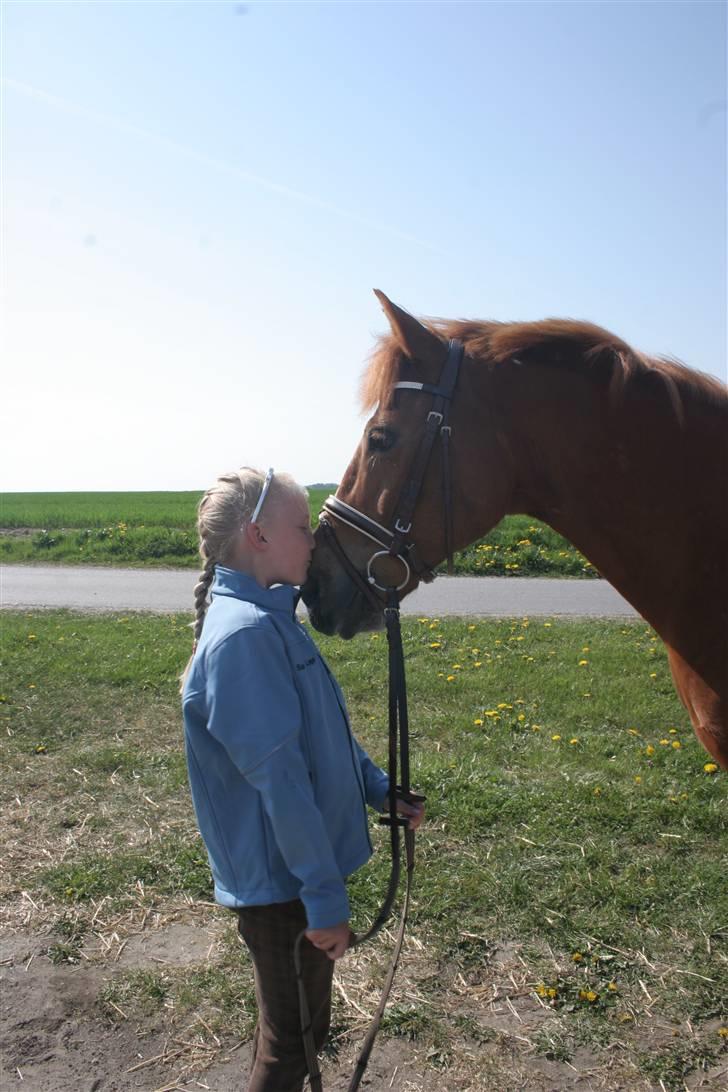 New Forest Kami - lige et kys pä mulen= du betyder alt for mig basse  billede 6