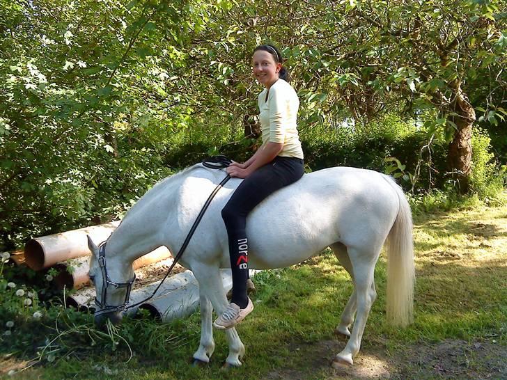 Anden særlig race Midnight's Kalypso billede 5