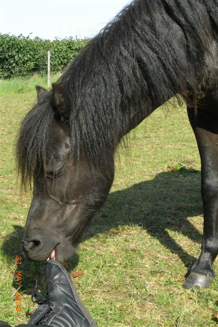 Anden særlig race Diva - Uhm, den smager godt :D billede 8