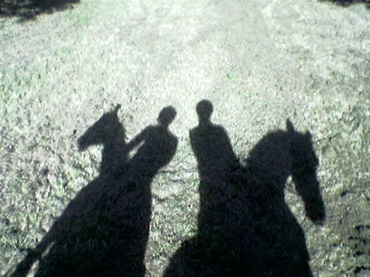 Tysk Sportspony Allegro Assai (Apollo) - Polle&mig + Camilla&Picasso <3 billede 18