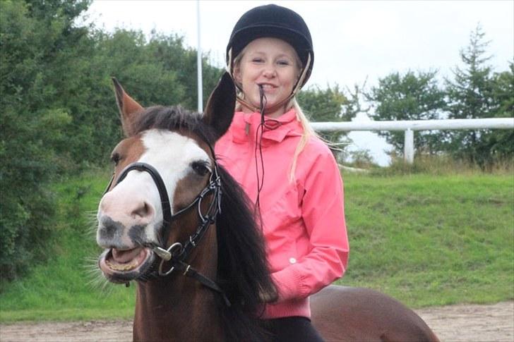 New Forest Malika Solgt :( - #3. Foto: Pernille Kirstine. du er en charmetrold ligemeget hvad! :-*. billede 3