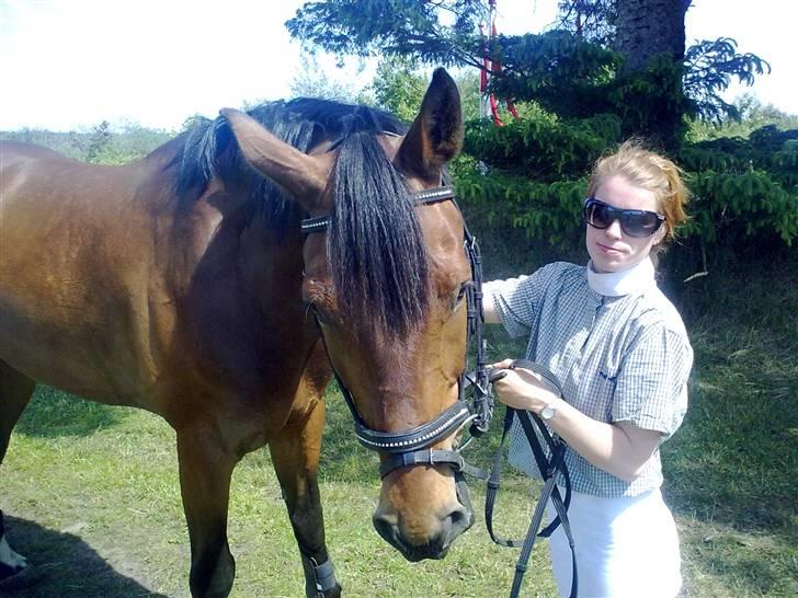 Westfaler MR jones billede 6