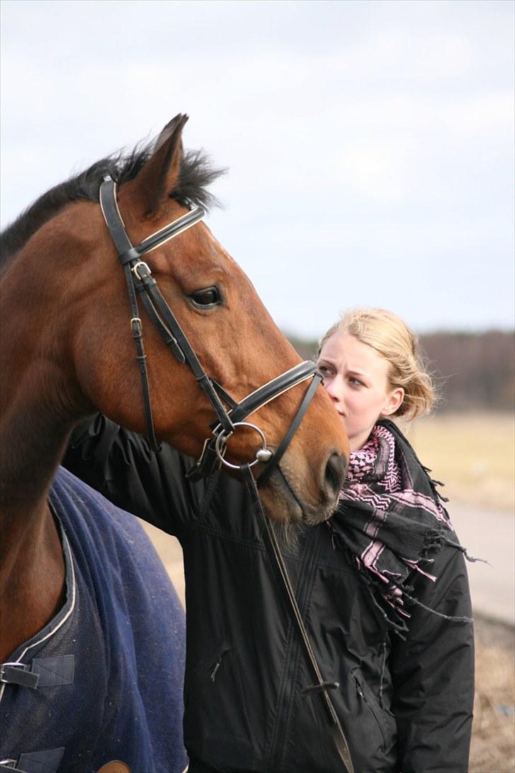 Anden særlig race | Plaisir <3 |  - Velkommen til Plaisir´s profil :D, Læg meget gerne en kommentar og en bedømmelse :)  - Hvil i fred bedste´hest! [ Foto:©AM ]  billede 1