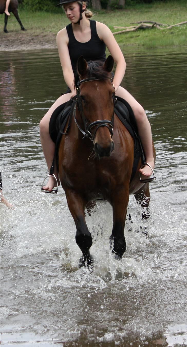 Anden særlig race | Plaisir <3 |  - Plaisir & jeg i badesøen ! :) Tungen lige i munden Sophie XD <3 [ Foto: Karoline - tak ]  billede 8