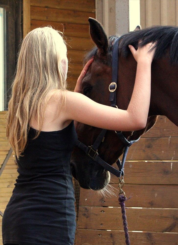 Anden særlig race | Plaisir <3 |  - Savner dig SÅ SÅ forfærdeligt meget! :´( [ Foto: ©DBR] billede 10