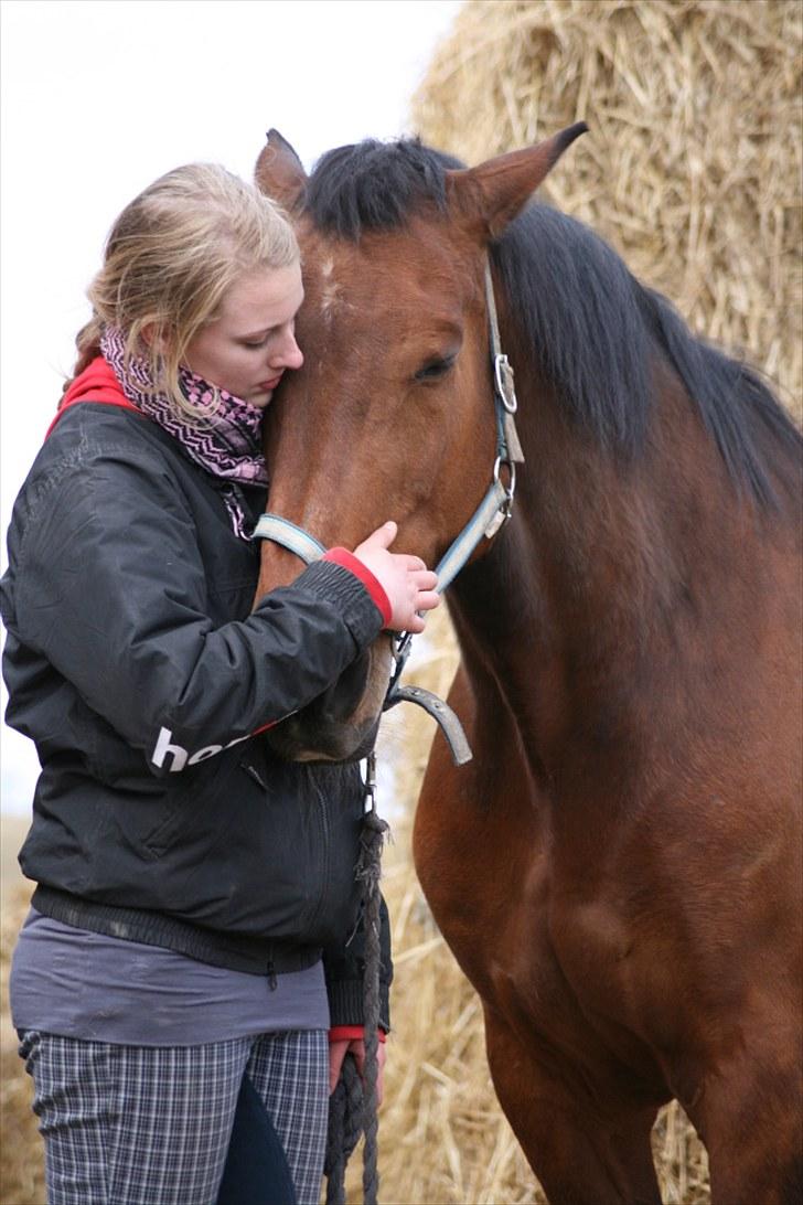 Anden særlig race | Plaisir <3 |  - Du er så forbandet kærlig Plaisir! :´) [Foto: ©AM] billede 11