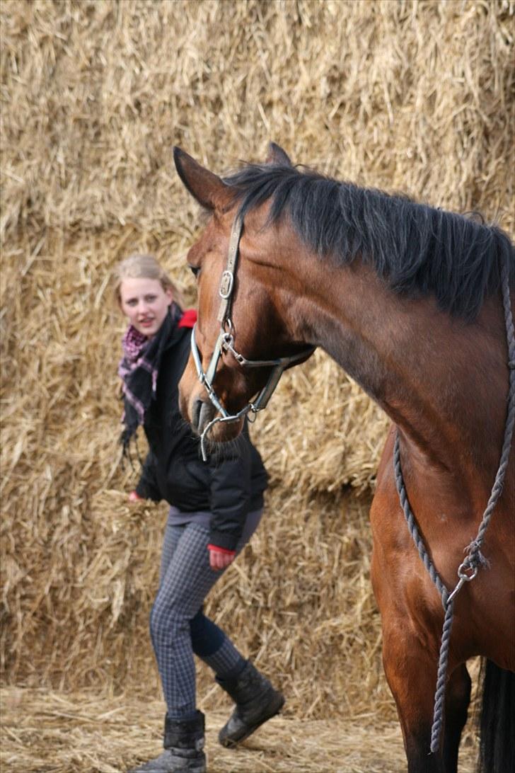 Anden særlig race | Plaisir <3 |  - Fantastisk sjovt billed faktisk! :´) [Foto: ©AM] billede 16