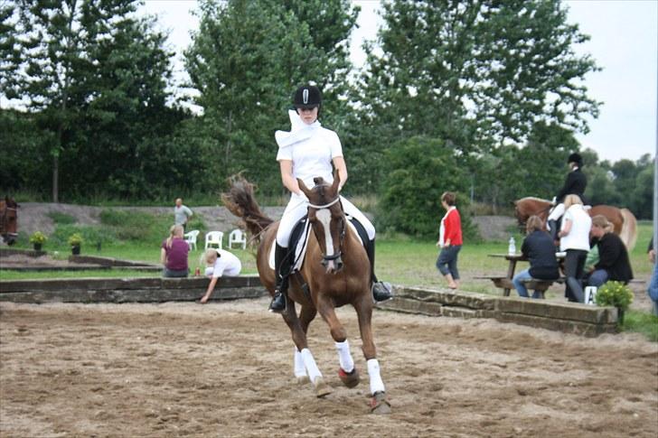 DSP Fandango  SOLGT - opvarmning billede 11